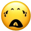 Эмодзи Roblox 😂 14