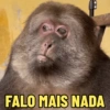 MACAQUINHA XINGXING 🐵🤎 13