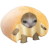 Mochi cat  8