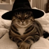 Gato halloween 5