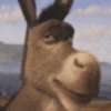 Burro do Shrek 15