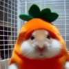 Hamsters Fofinhos 🐹 23