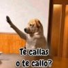 Te callas o te callo?