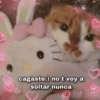 cagaste:) no t voy a soltar nunca are goals frawn