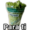 Lechaga Hidropo VERDE CRESPA Sofia Duarte Fer FRUTOS FRESCOS 7 paraguayita Para ti