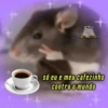 Bom dia fans 8