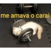 me amava o carai
