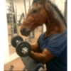 Memes random - Caballos 🤣 12