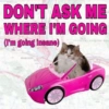 DON'T ASK ME WHERE I'M GOING (I'm going insane) KAMLOOPS