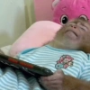 🐒🌴🐵 बंदर 🐵🌴🐒 16