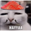 HAYYAA