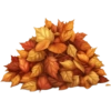 Autumn Leaves