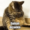 Dahlah dicuekin