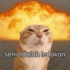 Stiker kucing with emoji kyut 25