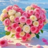 Amor 6