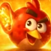 Angry birds👂💎Memes🔥 10