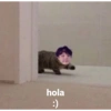 hola :)