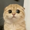🫯🫪 WTF - OMG [Mood] 🫪🫯 15