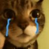 Gatos Tristes 3😿 23