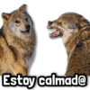 Estoy calmad@