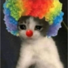 Meme Badut 🤡 15