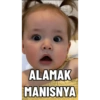 BRIELLA BAYI LUCU 14