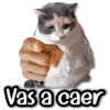 Kane stickers Vas a caer