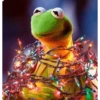 Kermit Envolto em Luzes