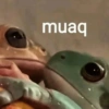 muaq