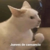 Jueves de cansancio