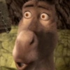 Burro do Shrek 18