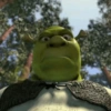 SHREK 18
