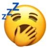 N Z 2²