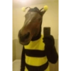 Memes random - Caballos 🤣 15