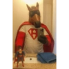 Memes random - Caballos 🤣 10