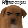 Déjame en paz
@Harley Stickers