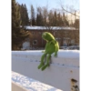 Kermit the frog 18