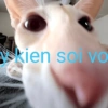 kien sol vo