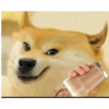 Doge cheems Hindi 29