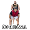 2026 15