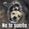 No te suelto