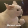 Martes de estrés