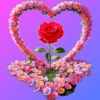 Amor 7