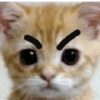 Cat by : Ling Ling 💜 6