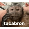 Mono meme 5