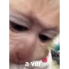 Mono meme 7