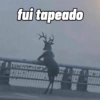 Memes e Reações🤣👇 12