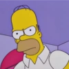 Homero Simpson 💛 24