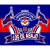 DESDE 1989 UNIVERSIDAD DE CHILE UM LOS DE ABAJO