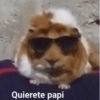 Quierete papi
